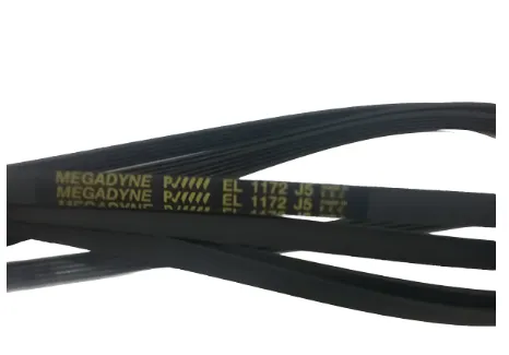 CORREA 1172 MEGADYNE (EL 1172 J5)