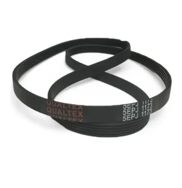 CORREA 1173 QUALITEX (5EPJ 1173)