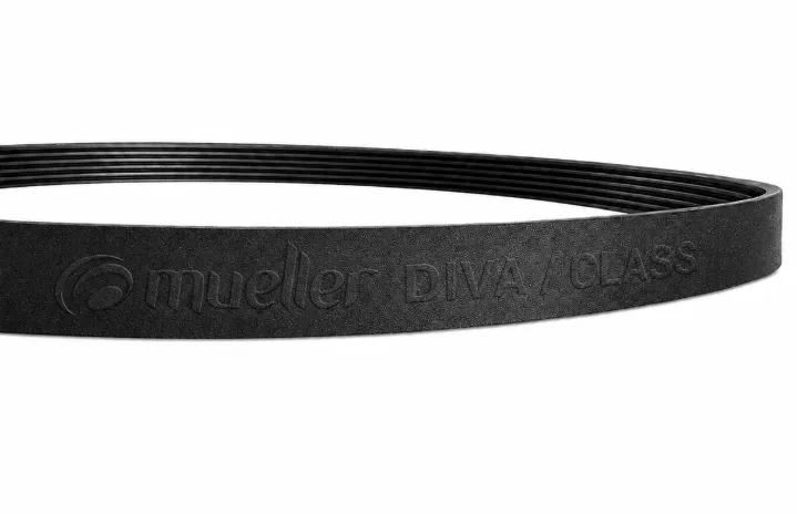 CORREA LAVARROPAS MUELLER DIVA / CLASS