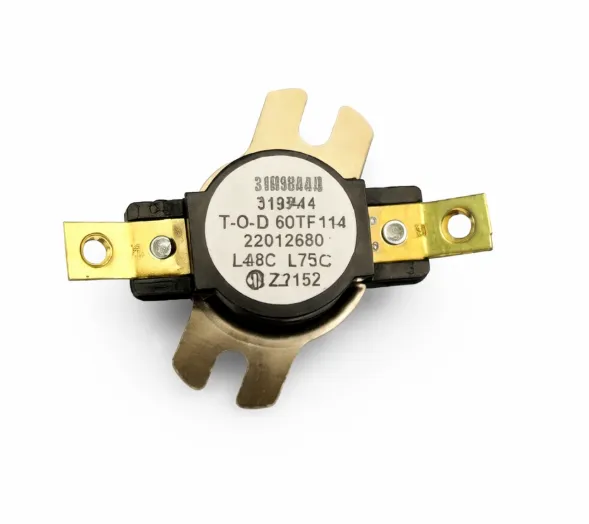 PROTECTOR TERMICO TRITON PARA TERMODUCHA JAMES T-70