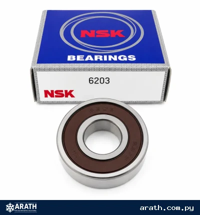 RULEMAN 6203 NSK BRASILERO