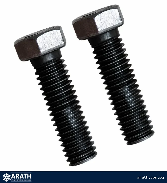 BULON METAL 5/16x1.1/2 + TUERCA