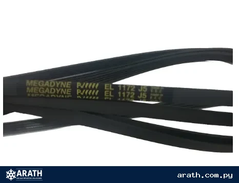 CORREA 1172 MEGADYNE (EL 1172 J5)