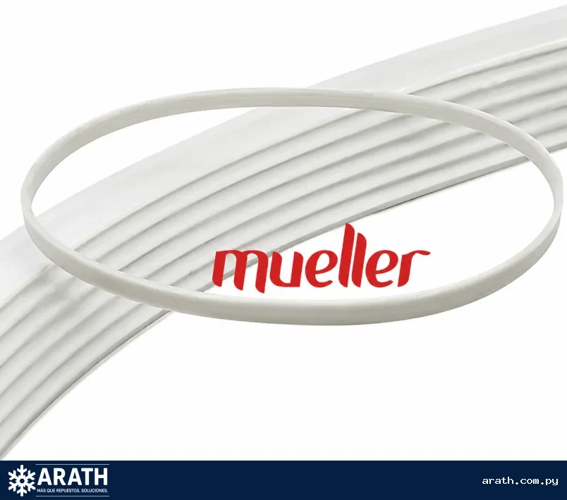 CORREA LAVARROPAS MUELLER PLUS / BELLISSIMA (BLANCO)