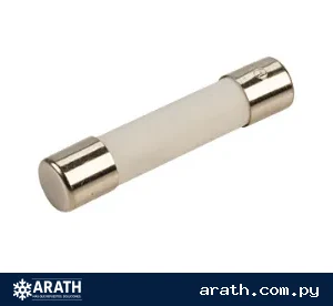 FUSIBLE CERAMICO PARA MICROONDAS 20A 250V - 20MM