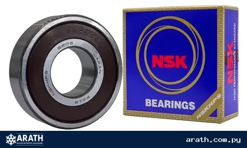RULEMAN 6203 NSK