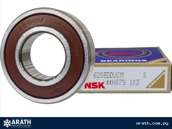 RULEMAN 6205 NSK
