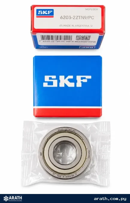 RULEMAN 6203 SKF