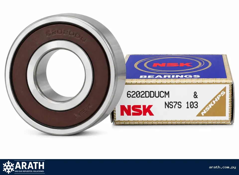 RULEMAN 6202 NSK BRASILERO